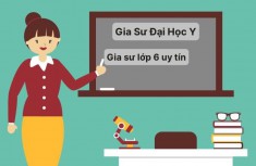 Tìm gia sư lớp 6 dạy kèm tại Hà Nội