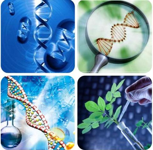 gia-su-mon-sinh-gia-su-dai-hoc-y