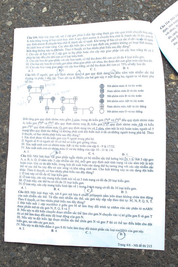 de-thi-chinh-thuc-mon-sinh-hoc-nam-2018-thi-dai-hoc4