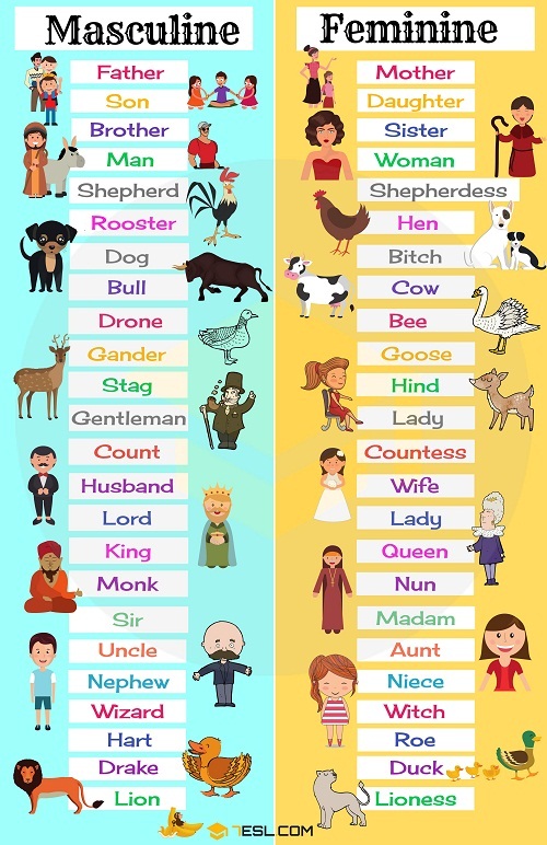 tu-vung-tieng-anh-chu-de-gioi-tinh